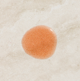 the body oil