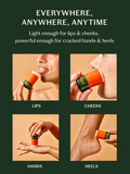 the everywhere stick