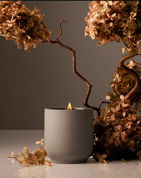 cece signature candle