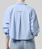 petit ami shirt